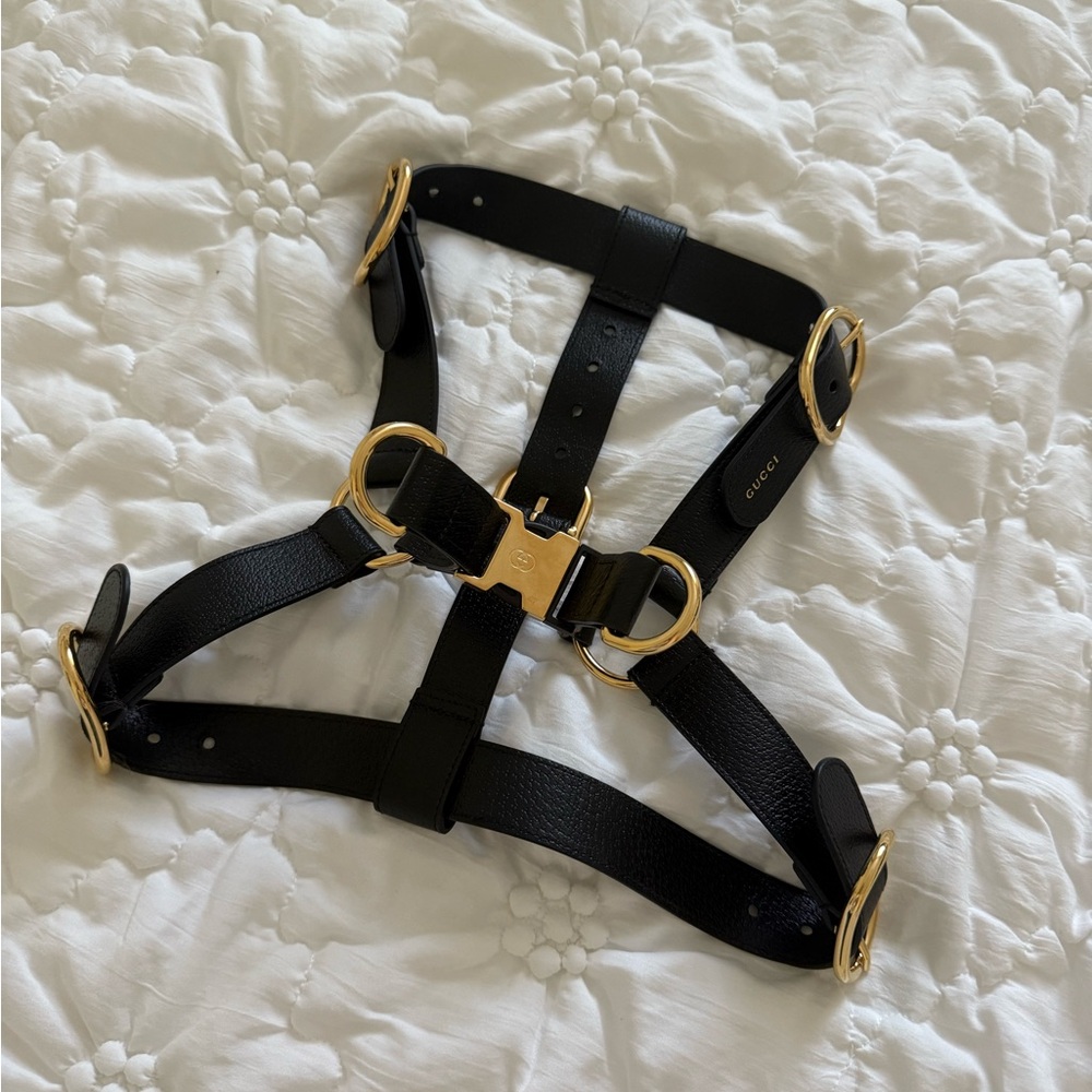 Gucci Dog Harness XL